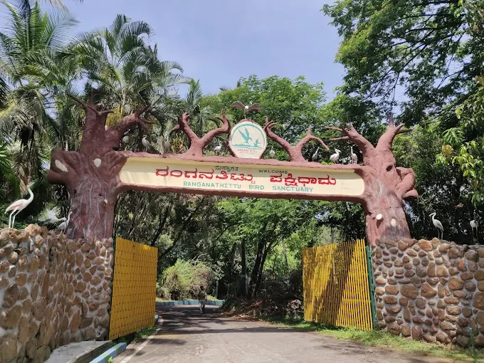 Ranganathittu Bird Sanctuary Karnataka – Birdwatching & Eco Tourism Packages by Kanishka Tours & Travels.