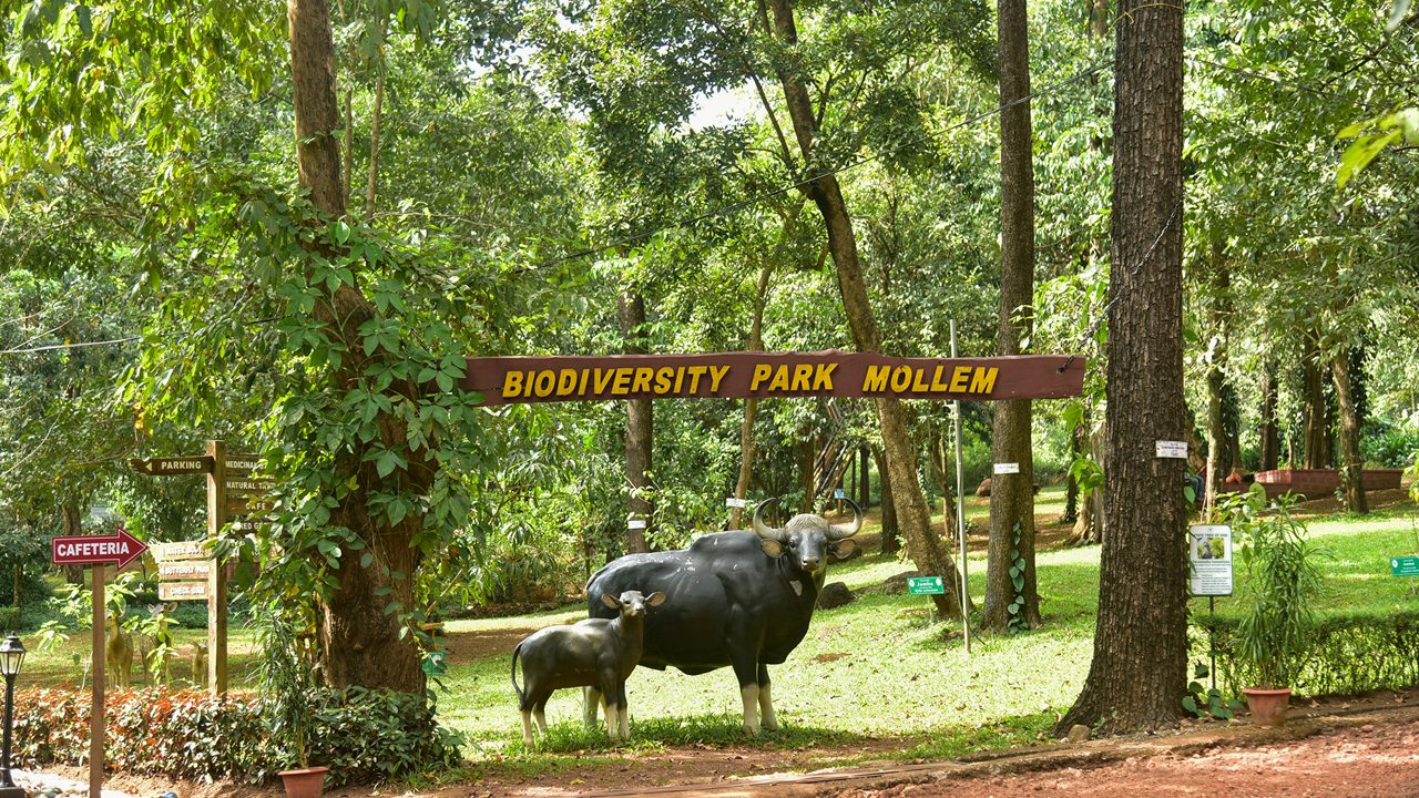 Molem National Park Goa – Wildlife Safari & Nature Adventure Tours by Kanishka Tours & Travels.