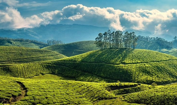 Munnar Tour Packages – Kerala Hill Station Holidays with Tea Plantations by Kanishka Tours & Travels.